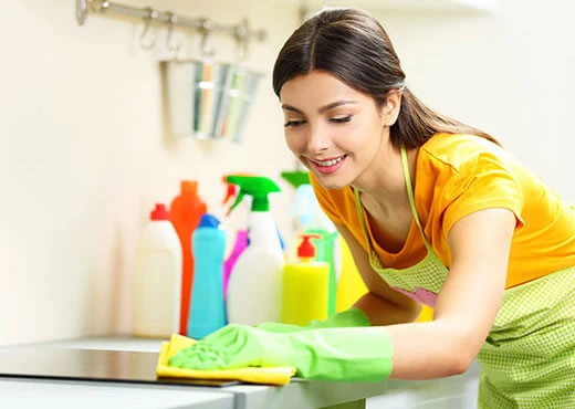 Regular House Cleaning Services